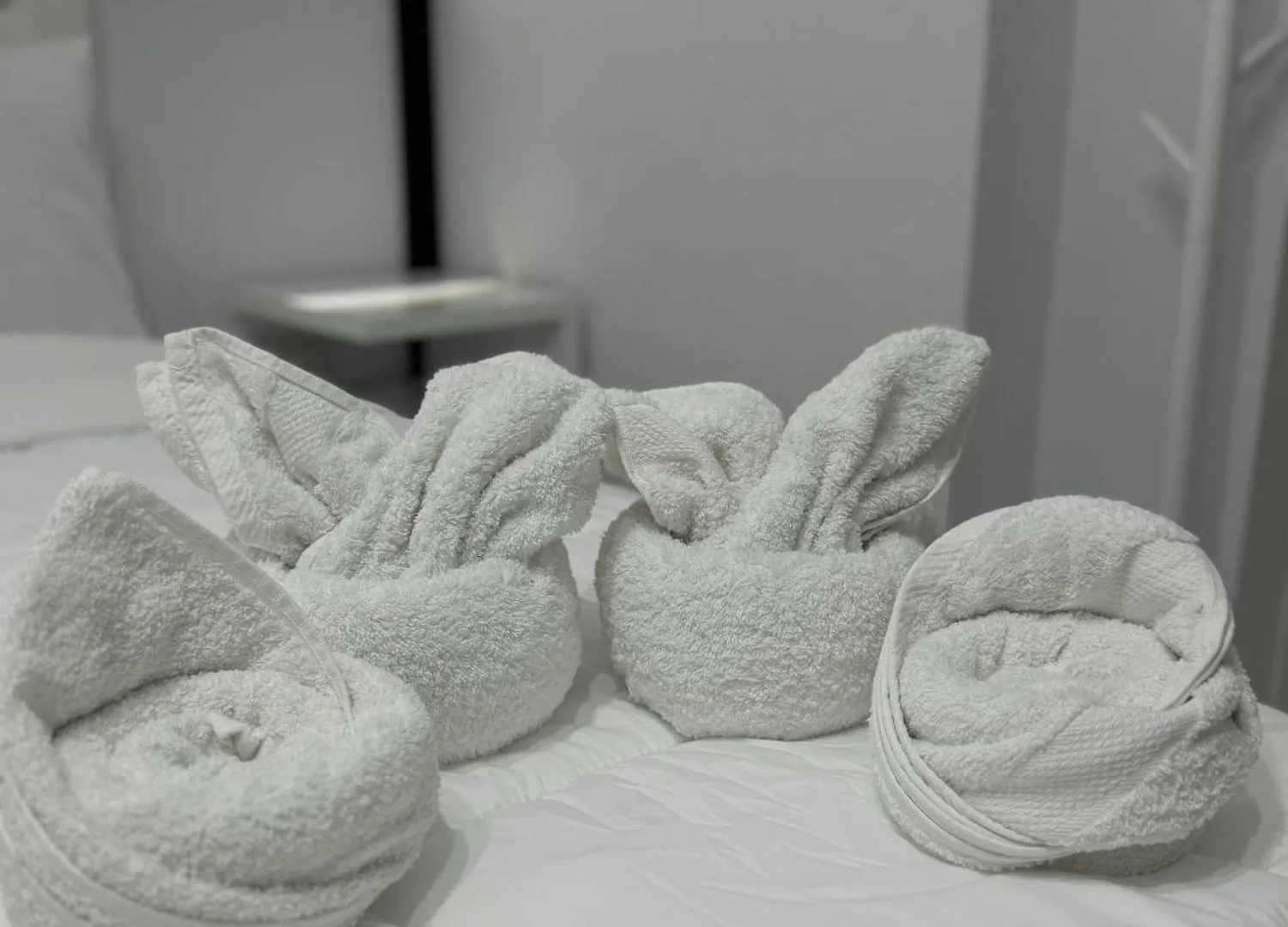 Guest house Angel'S Studio Apartments Tirana